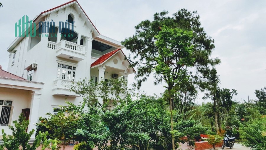 Biệt thự hơn 3000m2 tại Phú Thọ cần tìm chủ mới, chủ cực thiện chí  bán