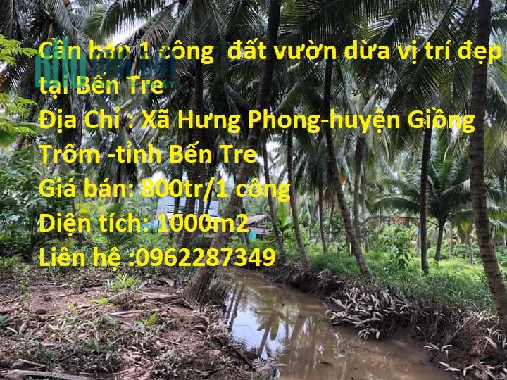 Cần bán 1 công đất vườn dừa vị trí đẹp tại Bến Tre