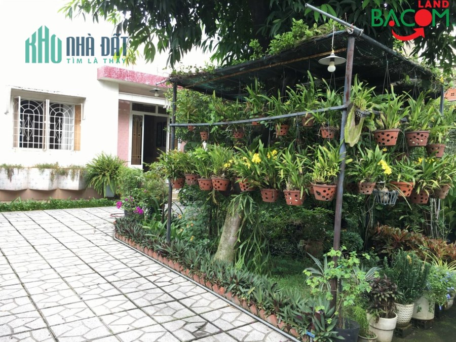 Biệt Thự mini xinh xắn 200m2, Thổ cư, Đường oto thông, P.An Bình, Biên Hòa giá chỉ 8,5 tỷ