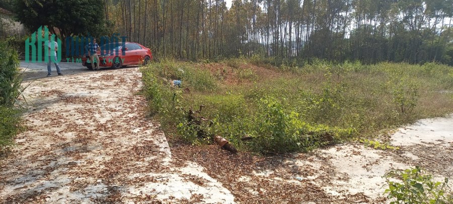 HÓT HÓT Nhanh Tay Sở Hữu Đất Cận Trung Tâm TT Kép, Lạng Giang, Bắc Giang