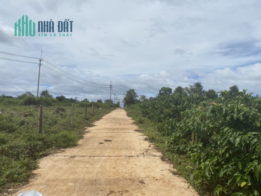 CHÍNH CHỦ BÁN LÔ ĐẤT MẶT TIỀN, GIÁ RẺ CÓ 1-0-2 TẠI LÀNG PHUNG ,XÃ BIỂN HỒ, TP PLEIKU
