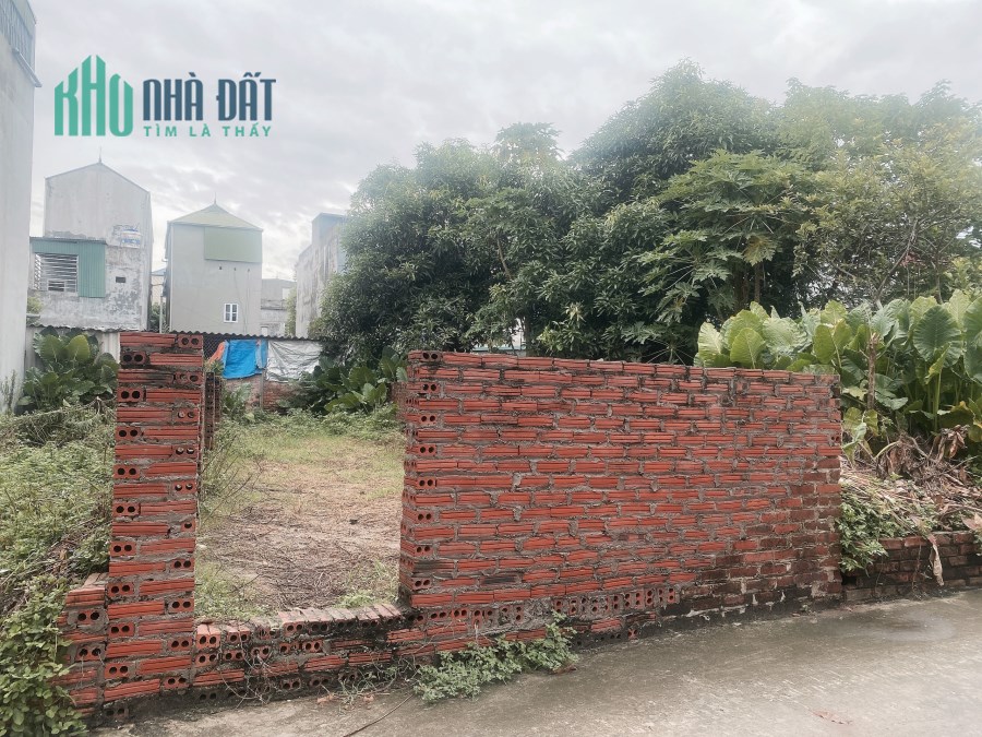 65,1m Lương  Quy  - Xuân Nộn - Đông Anh . đường rộng ngõ thông . bán cắt lỗ