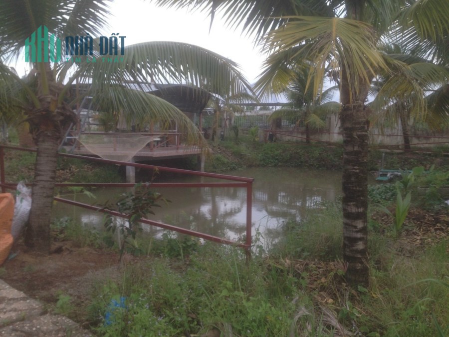 Biệt Thự Sân Vườn Mặt Tiền 2000m2 Cho Thuê