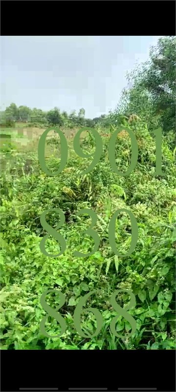 Chính chủ bán đất,chỉ 1,9 tỷ, ngang 25m, quốc lộ N2, Đức Hòa