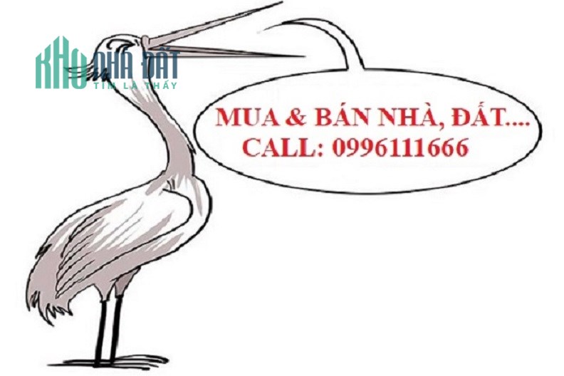 Bán 94m2 đất Phan Đình Giót- MT 5.2m, giá 11.6 tỷ