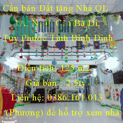 Cần bán Đất tặng Nhà QL 1A, Ngay Cầu Bà Di, Tuy Phước