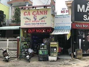 CẦN BÁN NHÀ TẠI SỐ 419 ĐƯỜNG PHÚ LỢI , PHƯỜNG PHÚ LỢI , TP THỦ DẦU MỘT,TỈNH BÌNH DƯƠNG