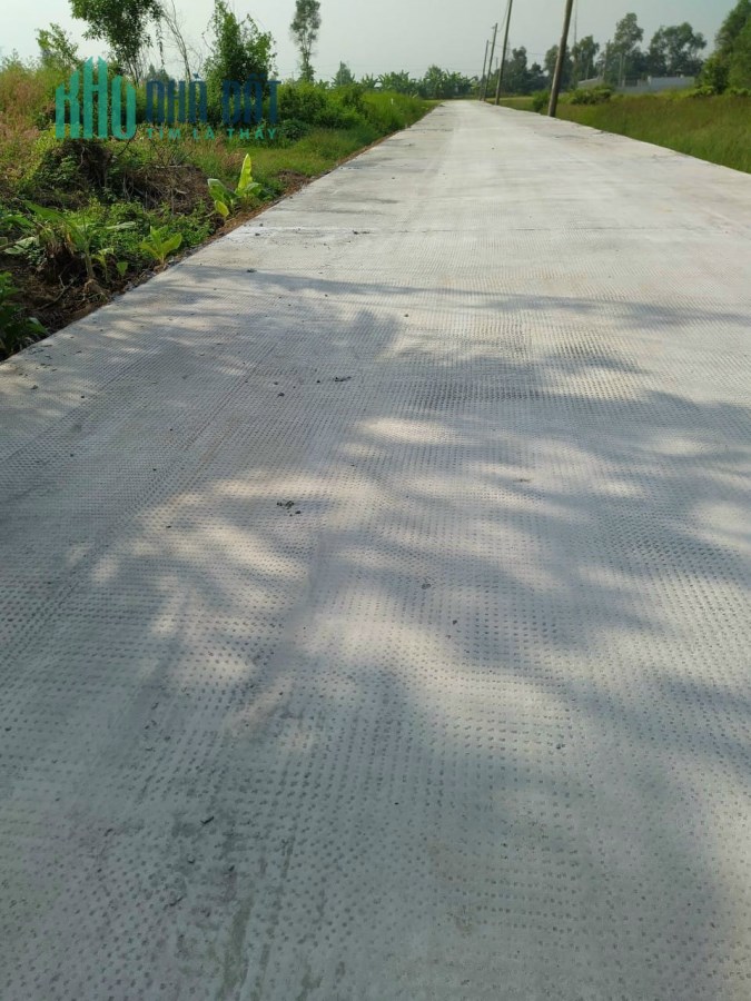 Bán Đất TRỒNG CÂY LÂU NĂM 2000M2 Tân Nhựt Bình Chánh  4.5Tr/m2