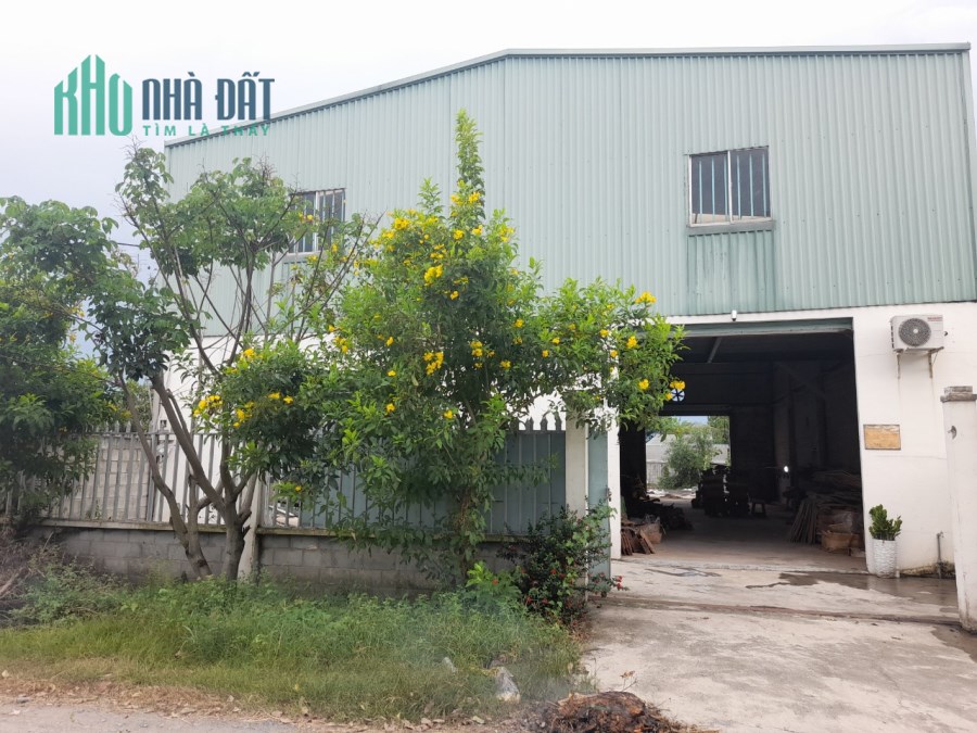 Xưởng 1/ Đường Bến Than Củ Chi 629m2 TC Ful 12m x45m Chỉ 12 Tỷ