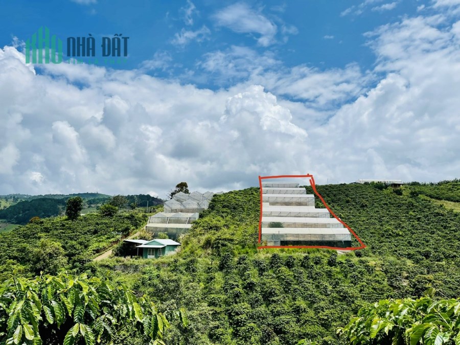 Kẹt tiền giảm giá bán gấp lô đất rộng view đẹp tại Tà Nung, Đà Lạt 2514m2 giá tốt chỉ 4 tỷ