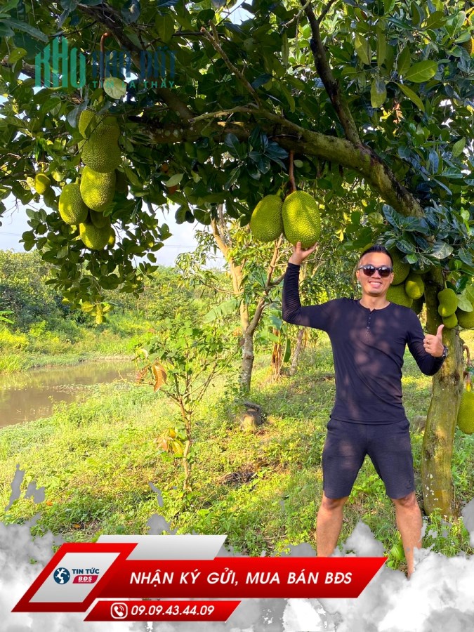 BÁN ĐẤT XÃ NGỌC ĐỊNH HUYỆN ĐỊNH QUÁN, ĐƯỜNG BÊ TÔNG - HOTLINE: 0909434409