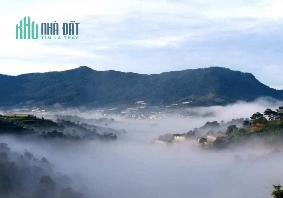 Cần bán 445m2 Đất sẵn thổ cư view đồi thông/săn mây Đà Lạt cách trung tâm chỉ hơn 10p chỉ 14,5 tỷ