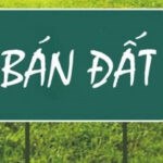 Chính chủ cần tiền bán nhanh lô đất tại  Đường Nguyễn du (cũ)- Phường Dữu Lâu – TP Việt Trì Tỉnh