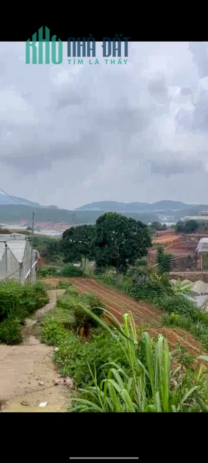 Bán gấp đất nền Biệt Thự rộng view thoáng đường Cao Thắng, Đà Lạt 1398m2 giá 15 tỷ