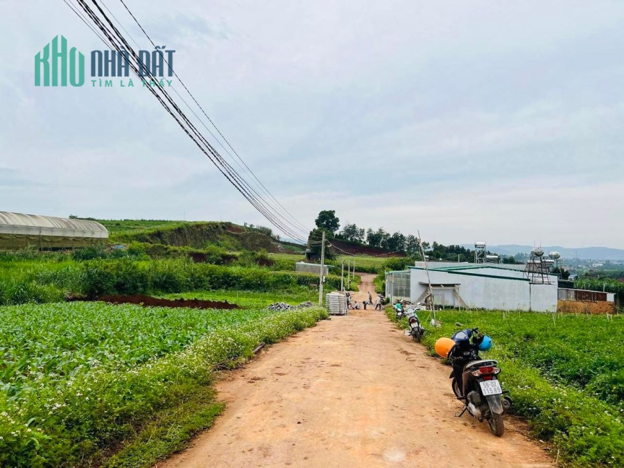 Đất đường bồng lai 115m2 full thổ cư chỉ 899tr tại Đạ Ròn Đơn Dương Lâm Đồng