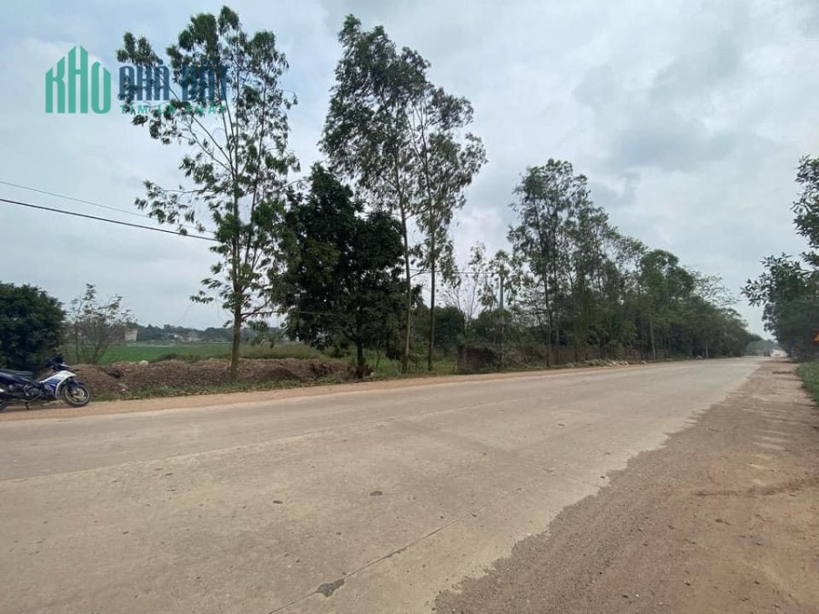 Chính chủ bán nhanh lô đất Mặt tiền ĐT 310, Tam Dương, Vĩnh Phúc, Giá tốt khu vực