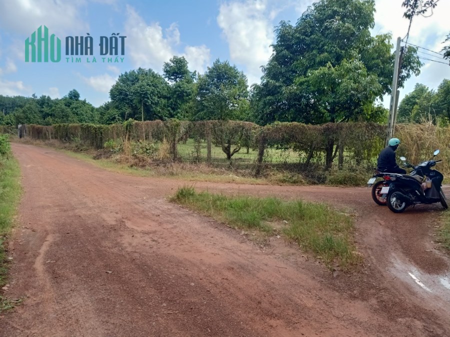 Bán gấp lô đất tại Xã Minh Thạnh, Dầu Tiếng, Bình Dương, giá rẻ đầu tư ổn định