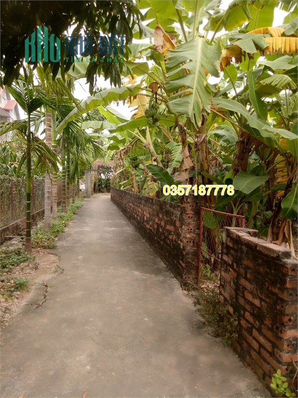 II Bán lô đất ở Xã Bản Nguyên - Huyện Lâm Thao - Tỉnh Phú Thọ. Chỉ có 800 tr