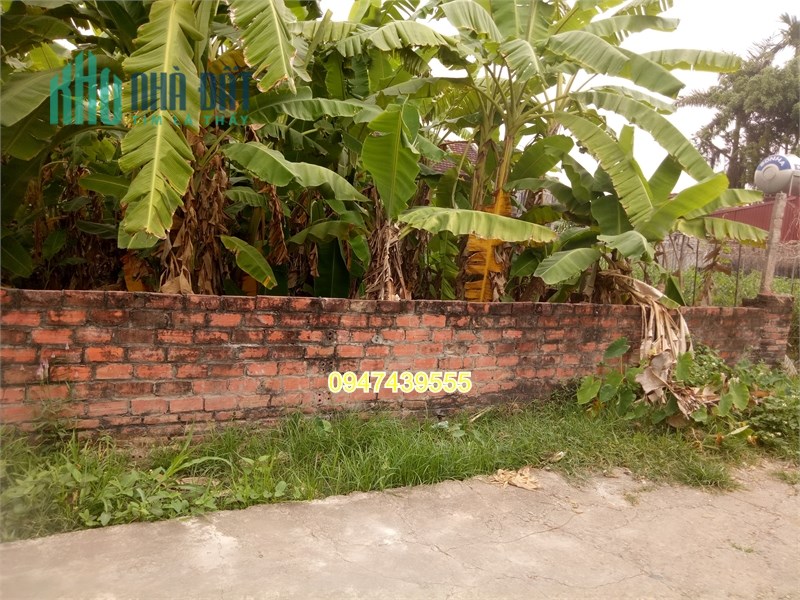 I Gia đình em bán lô đất ở Bản Nguyên - Lâm Thao - Phú Thọ.