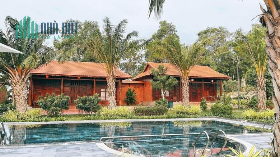 Đất vườn cây ăn trái Bà Rịa Vũng tàu, đường xe tải, điện nhà nước, MB cho vay