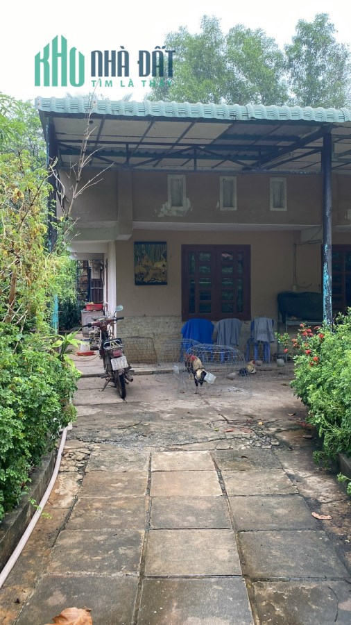 Cực đỉnh đỉnh, 5tr.m2, diện tích 1500m2, Nhị Bình, Hóc Môn