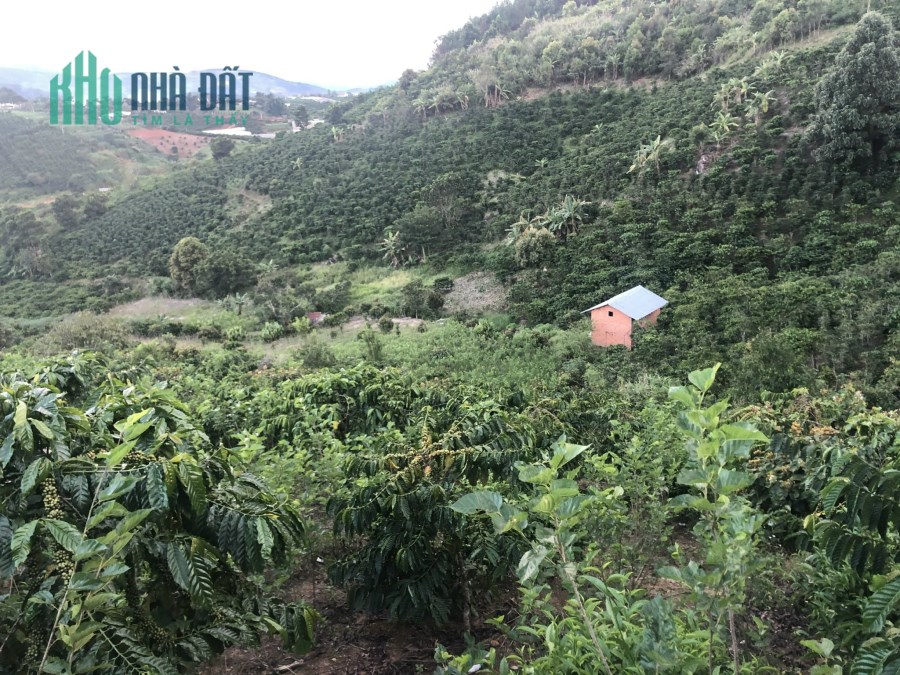 Cần bán gấp đất rộng view đẹp tại Tà Nung, Đà Lạt 9000m2 giá chỉ 7.5 tỷ