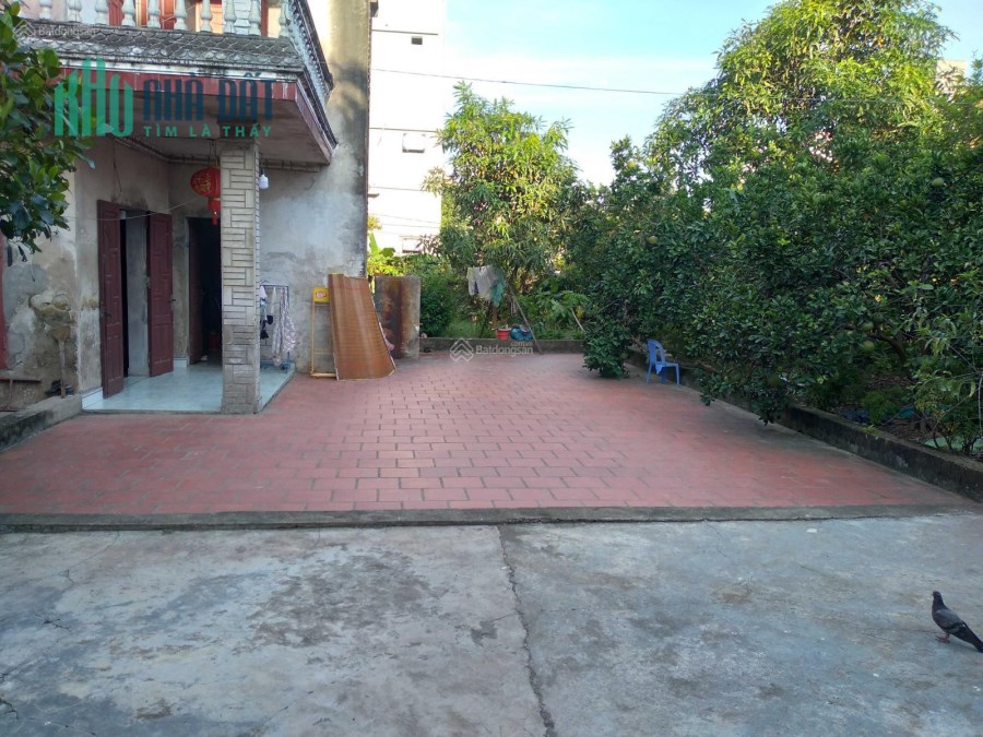 CHÍNH CHỦ CẦN CHO THUÊ ĐẤT TẠI VÂN TRÌ - VÂN NỘI - ĐÔNG ANH - HÀ NỘI
