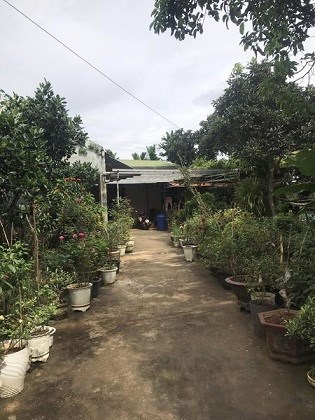 CHINH CHỦ CẦN BÁN LÔ ĐẤT CHÍNH CHỦ SÂN VƯỜN ĐẠT LÝ, THÔN 5 XÃ HOÀ THUẬN,TP BUÔN MÊ THUỘT, ĐAK LAK