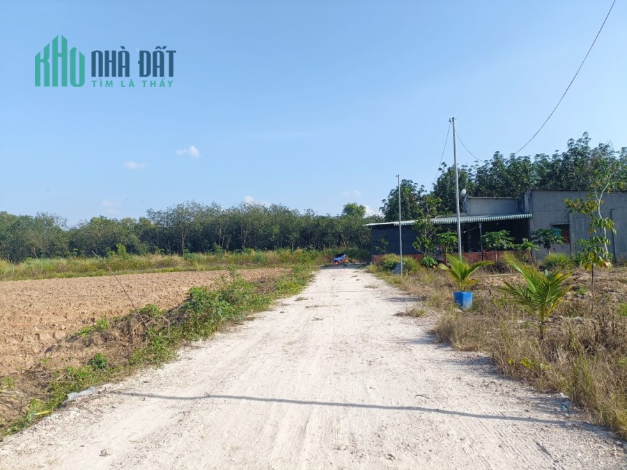 Đất xào Xã Minh Tân, Dầu Tiếng, Bình Dương, diện tích trên 1000m2, SHR, Giá rẻ 685tr