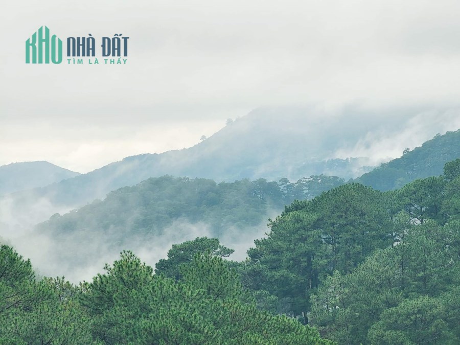 CHÍNH CHỦ Cần Bán Gấp Lô Đất Trung Tâm TP Đà Lạt
