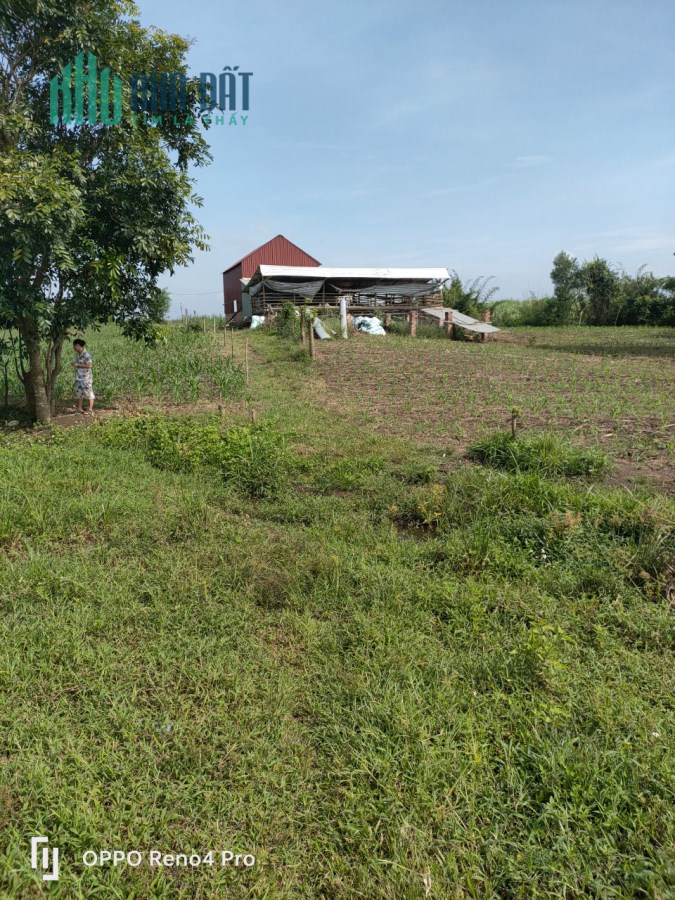 Ngân hàng Thanh lý lô đất ngay MT 764 mở rộng . DT 3320m2- Giá 1.3 tỷ.