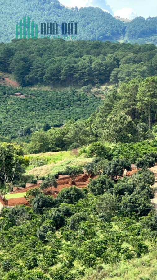 Cần tiền ăn Tết - Bán lô đất F0 hàng xóm của KDL Thảo Nguyên Xanh