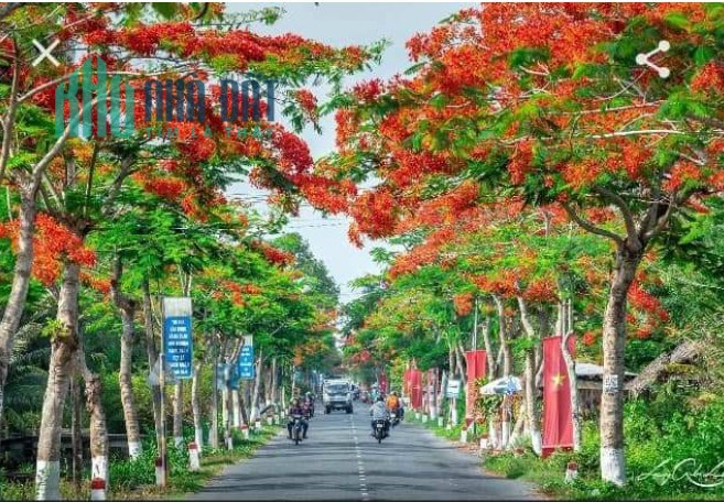 Cần Bán Gấp Đất  Mặt Tiền Kề Bên Phường Vĩnh Tường Quốc Lộ 61 Ngang Lớn.Đoạn Cầu Giồng Sao Hướng Về