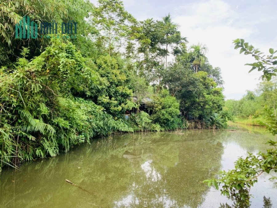 Lô đất nghỉ dưỡng vườn cây ao cá nghỉ dưỡng không chê vào đâu được 1ha có 500m thổ cư tại Lạc Sơn -