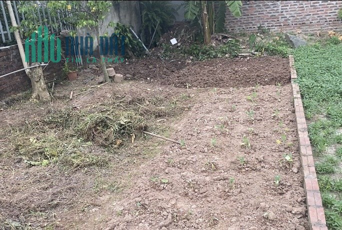 (Bán gấp) 65M2 tại Đông Xuân, Sóc Sơn. Đường ô tô ngõ thông.