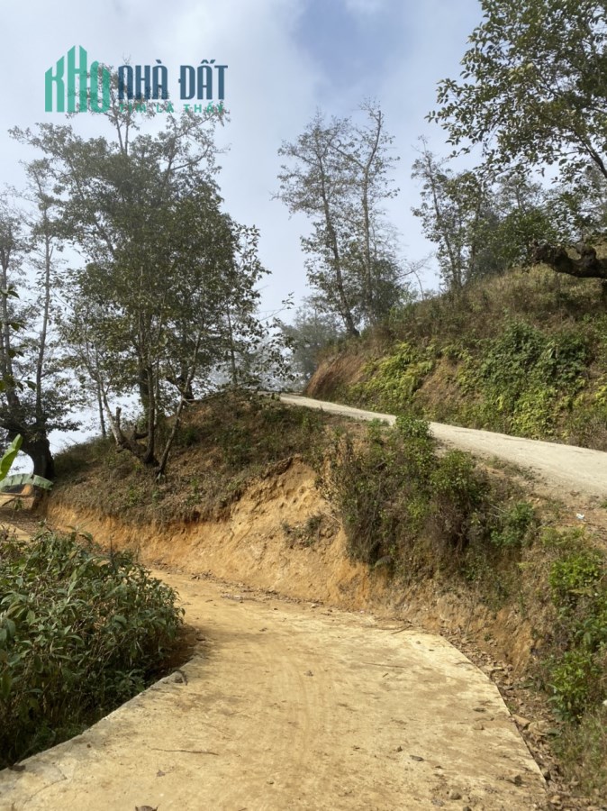 BÁN MẢNH ĐẤT THÔN SĂN MÂY CAO NHẤT Y TÝ ( SAPA2)