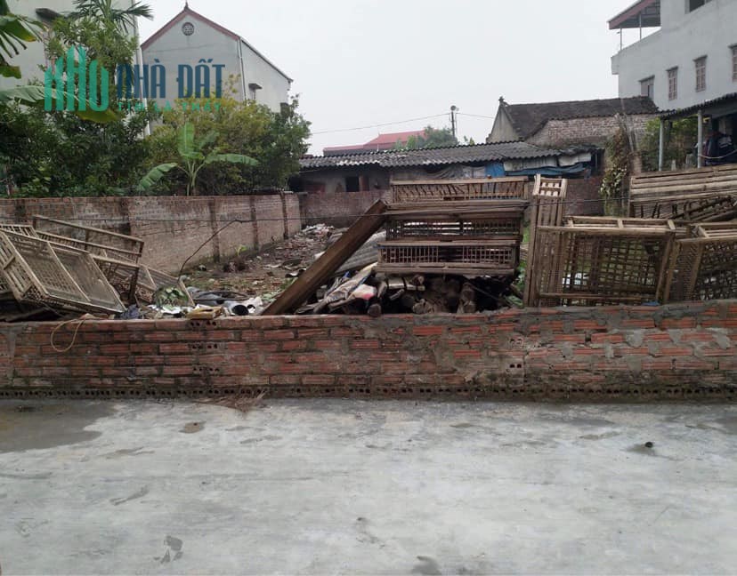 Chính chủ bán đất Đình Trung, Xuân Nộn, Đông Anh, Hà Nội.