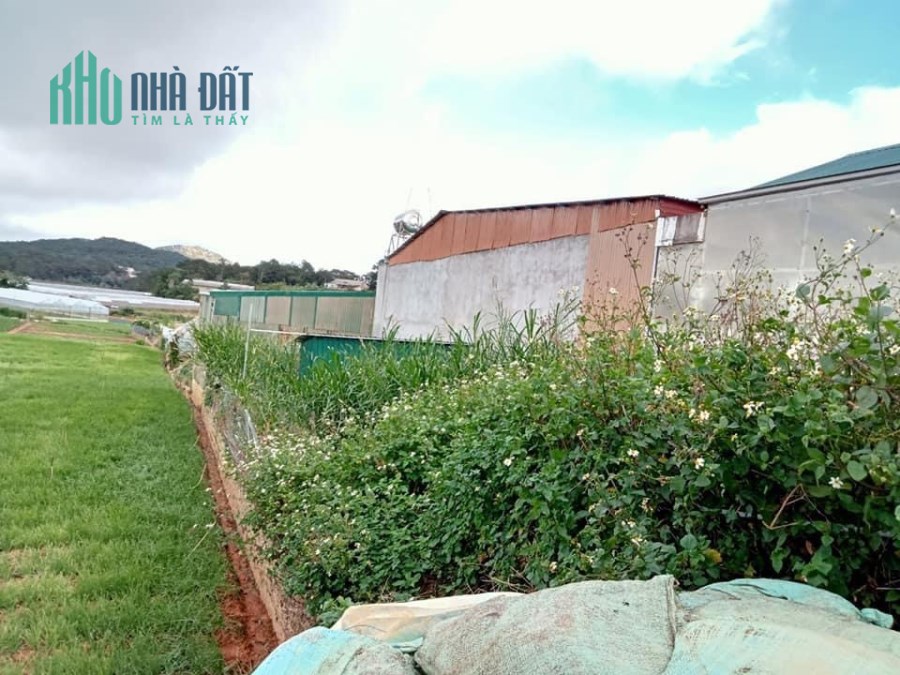 Chính chủ kẹt tiền cần bán nhanh lô đất đẹp dt 180m2 ở Phường 8 Đà Lạt giá chỉ có 3 tỷ