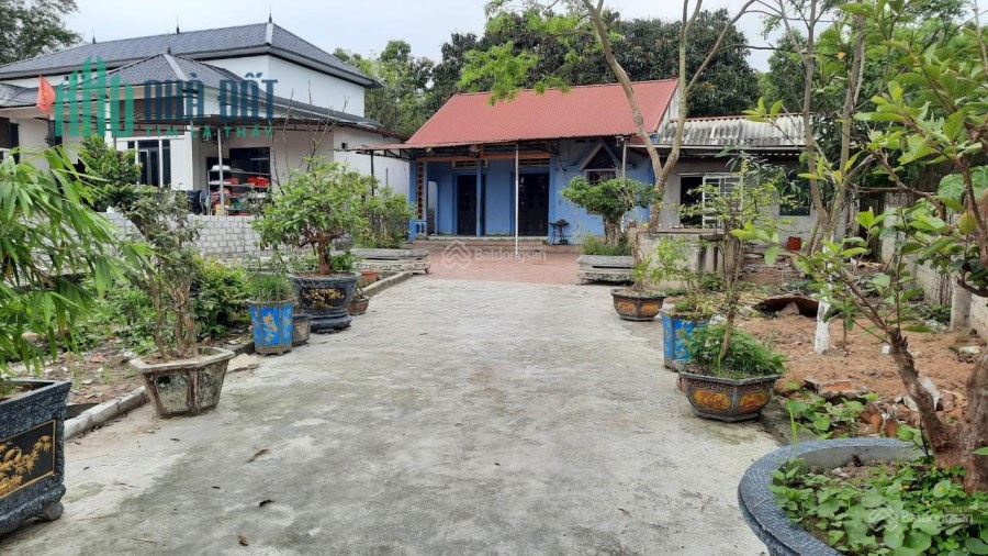 CHÍNH CHỦ CẦN BÁN GẤP LÔ ĐẤT 562M2 TẠI XÃ TAM QUAN, TAM ĐẢO, VĨNH PHÚC.