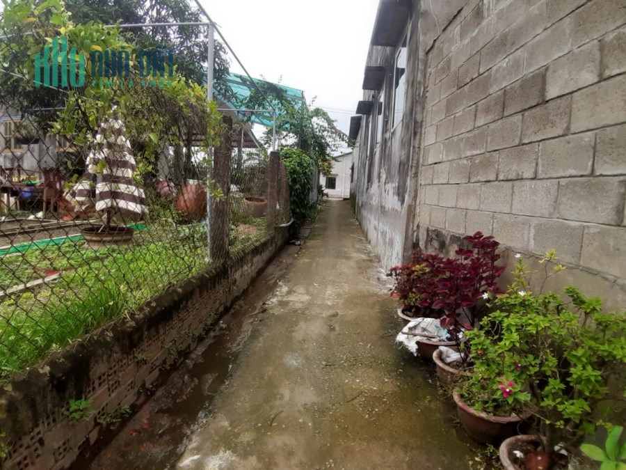 Bán nhà 336m2 gần Trường THCS Tam Hiệp,Châu Thành,Tiền Giang