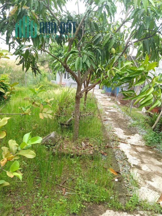 CẦN BÁN 210M2 ĐẤT ĐẸP NGUYỄN BÌNH, XÃ PHÚ XUÂN, NHÀ BÈ, HCM