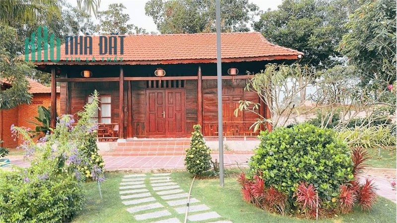 Chính chủ bán đất vườn Đất Đỏ, Bà Rịa Vũng Tàu, giá rẻ, đường ô tô, ngân hàng cho vay