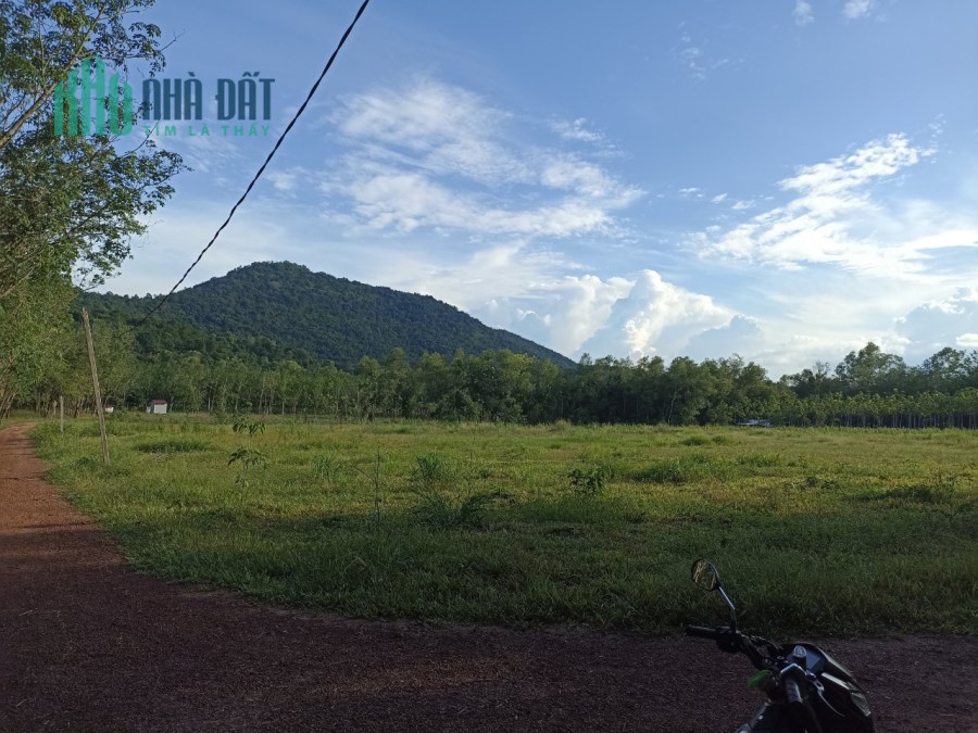 Cần chuyển nhượng lô đất tại Huyện Dầu Tiếng Bình Dương, SHR, 32M ngang, 2 mặt tiền rộng.