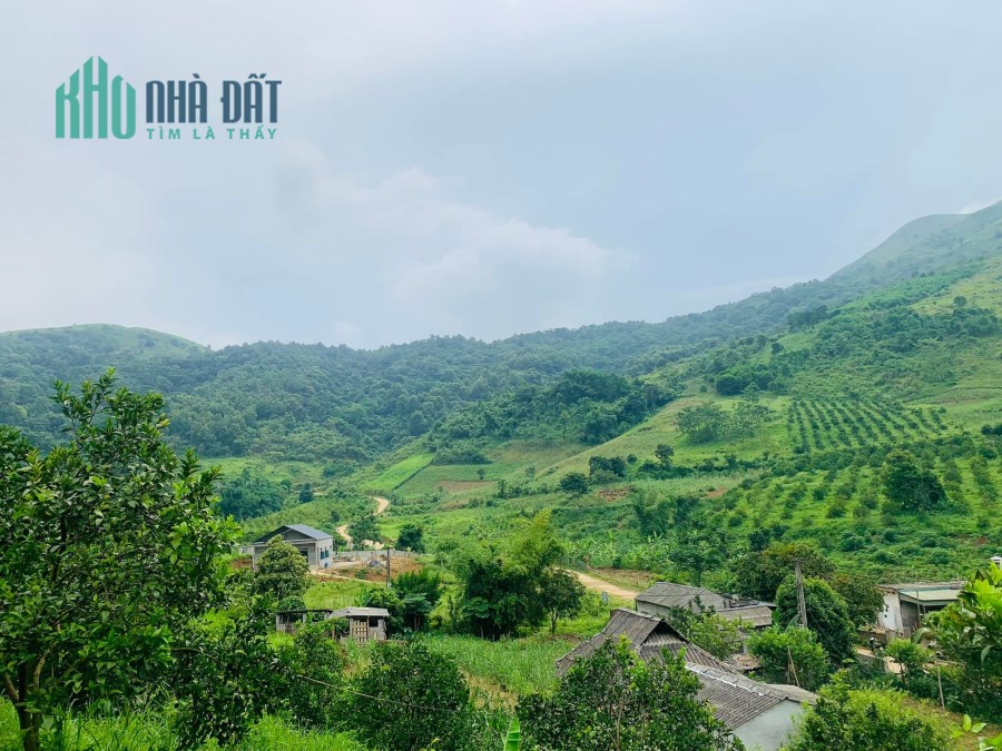 Gấp lô đất khách bỏ cọc bán giá vớt rẻ có 1-0-2 tại Hợp Phong Cao Phong. 2.2ha 911m ONT giá chỉ 3 tỷ