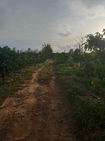 CHÍNH CHỦ BÁN 6,2 SÀO ĐẤT THÔN BẮC SƠN, XÃ ĐĂK GĂN, HUYỆN ĐĂK MIL, TỈNH ĐĂK NÔNG.