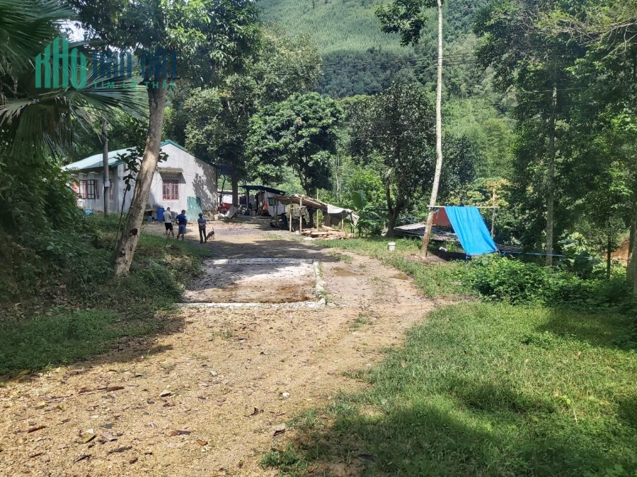 Chính chủ cần bán trang trại 5.5ha đầy đủ giấy phép tại Cao Sơn - Đà Bắc. Bám đường TL433 giá 8.5 tỷ