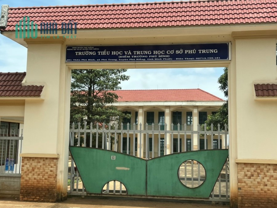 4 nền mặt tiền nhựa 5x50x100tc ngay ủy ban giá ngộp
