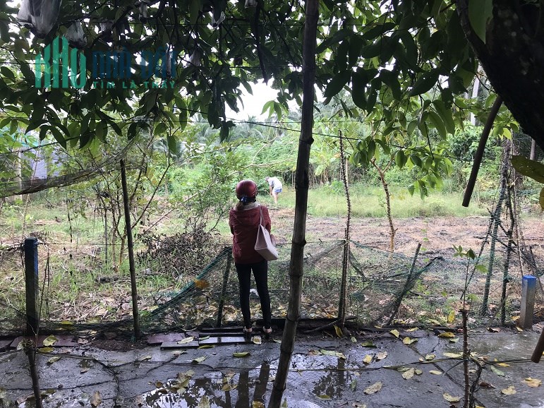 Chính chủ bán đất tại Xã Bình Phú - Thành Phố Bến Tre - Tỉnh Bến Tre