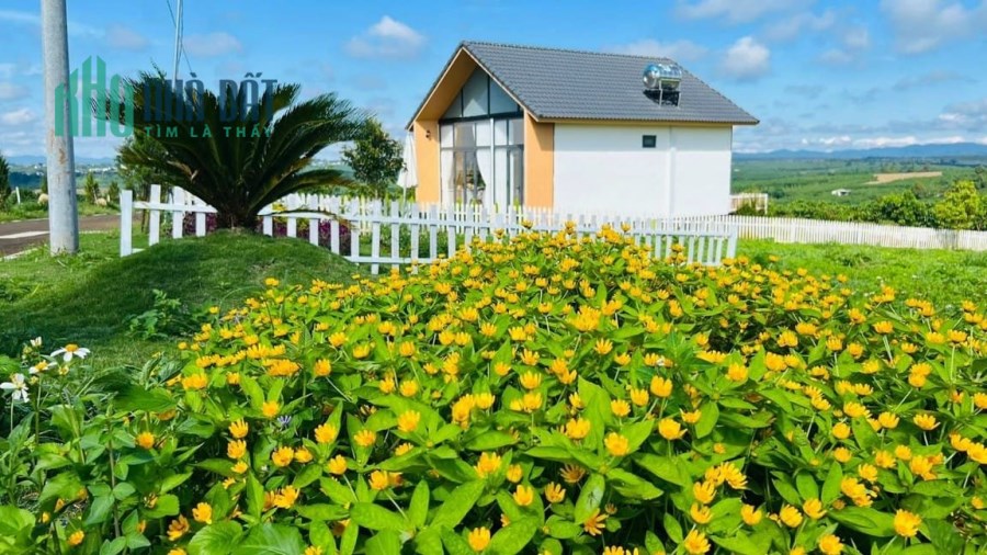 Mở bán 5 suất nội bộ Bảo Lộc giá FULL 850tr/180m2. Thanh toán 5tr/tháng. Sổ có sẵn thổ cư, sang tên