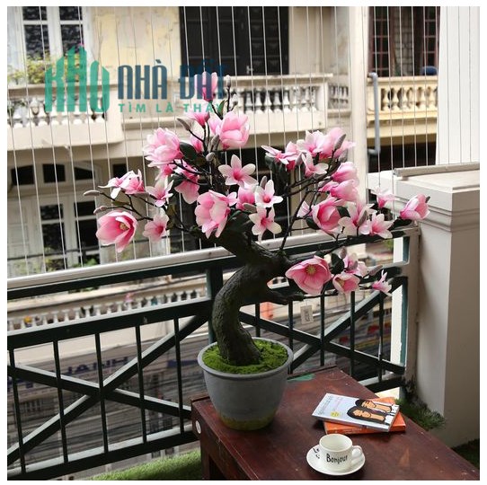 Chính Chủ Cần Cho Thuê Căn Hộ Mường Thanh View Quảng Trường